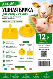 Бирка ушная 30*30/d-28 мм