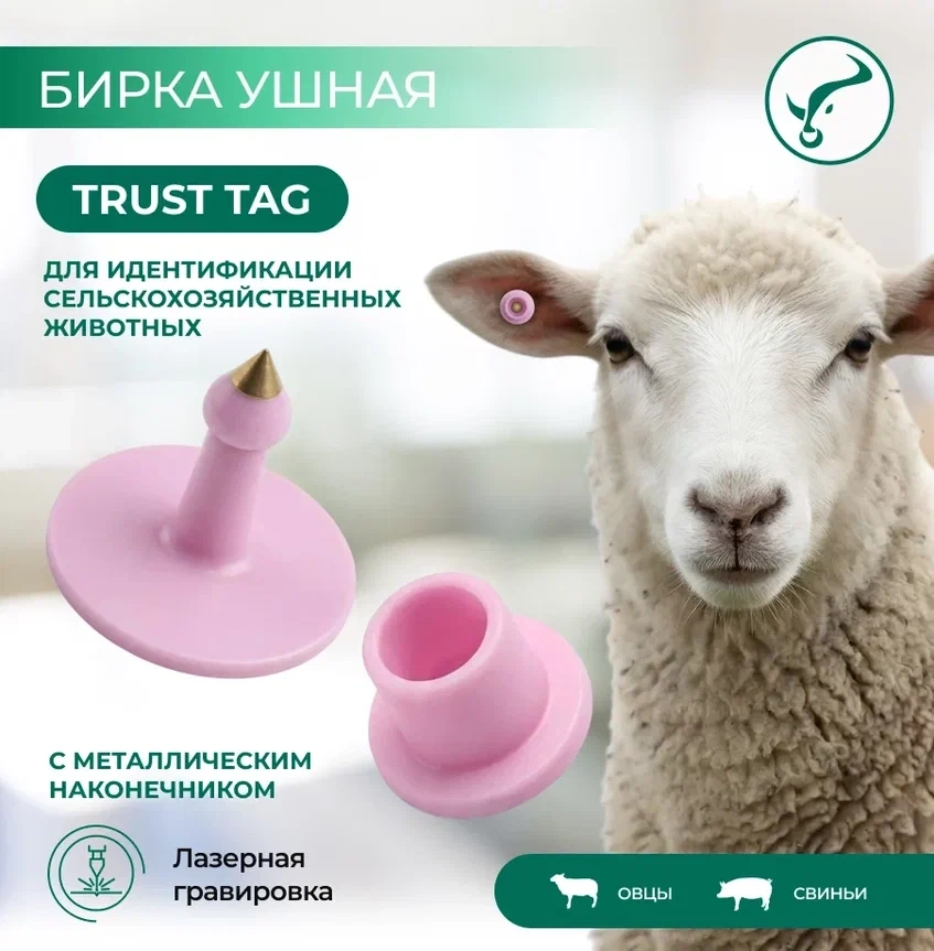Бирка ушная Ø30*22 мм с металлическим наконечником фото 4