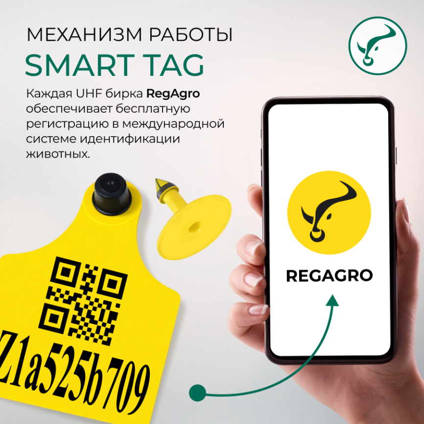 Электронная Бирка ушная UHF   SMART Tag 78х58/Ø28мм   L фото 3