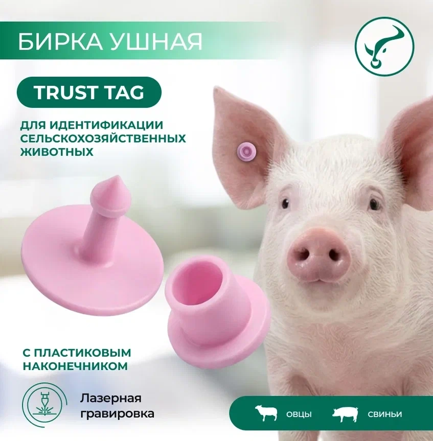 Бирка ушная Ø30*22 мм с металлическим наконечником фото 5