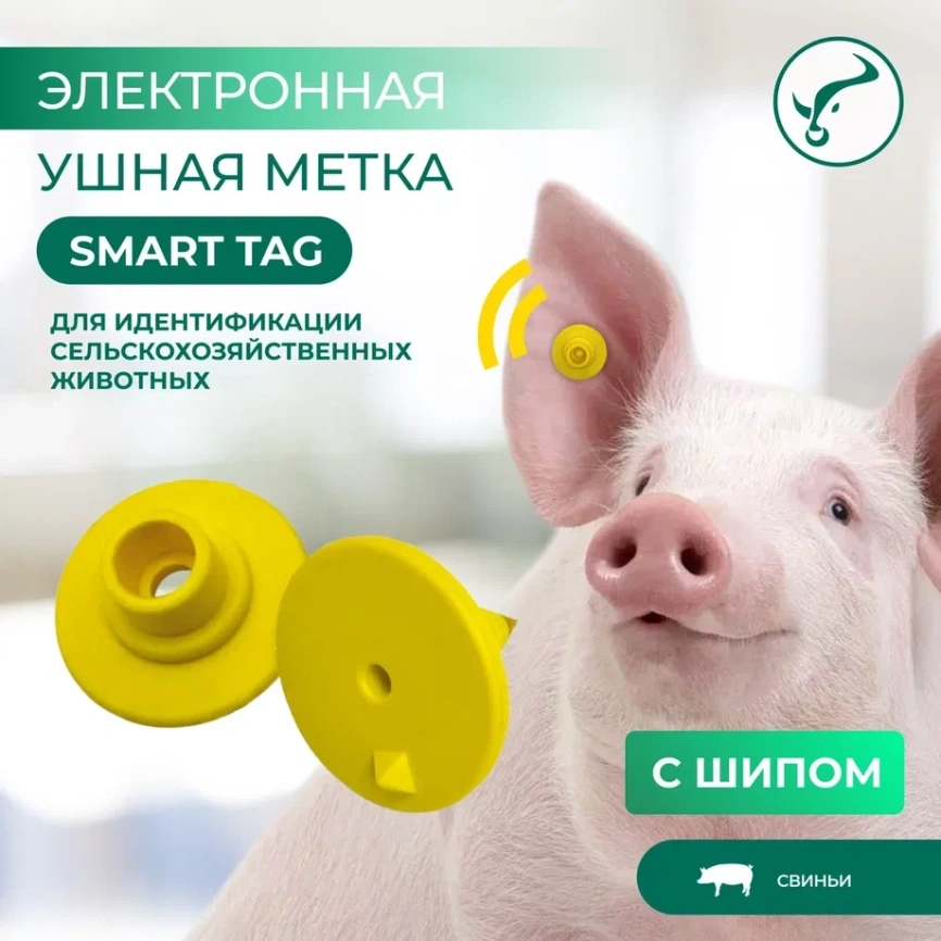 Электронная ушная метка UHF  860-960 kHz., d-29мм c ШИПОМ фото 2