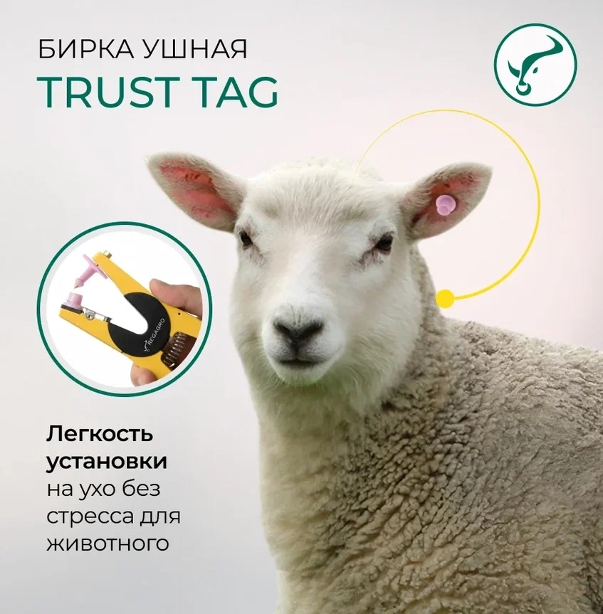 Бирка ушная Ø30*22 мм с металлическим наконечником фото 3