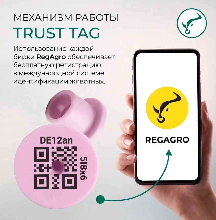 Бирка ушная Ø30*22 мм с металлическим наконечником фото 7