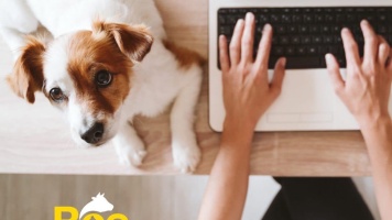 Как работает сервис "Услуги на дому" 