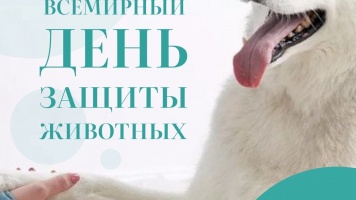 Всемирный день защиты животных 