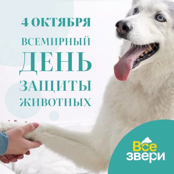Всемирный день защиты животных 