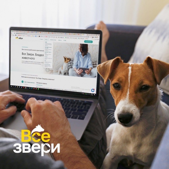 Как зарегистрировать питомца на портале «Все Звери» 