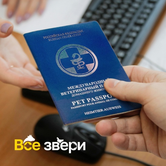 Про ветеринарный паспорт 