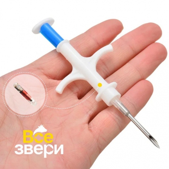 Что представляет собой микрочип 